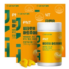 피엔티 GC녹십자웰빙 비타민B 하트츄어블, 3개, 18g