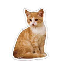 엠픽 냥냥이 아크릴 스마트톡, 1개, 치즈냥