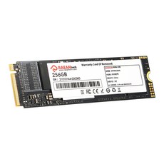 라사드 RASSD620 SSD M.2 NVMe, MTM8500256G, 256GB