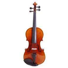 T.CUSTOM 入門用小提琴 1/2 + 10種配件全配套組 含琴盒, 1套, Barius4, 橘紅色