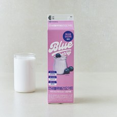 연세유업 블루베리 요거트, 1개, 1개입, 900ml
