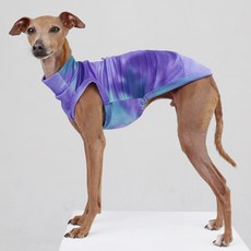 DOGGY STAR 狗狗夏季水染涼感背心, 1個, 紫色水染