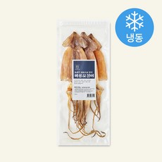 동명상회 국내산 마른오징어 (냉동), 225g(3미), 1개