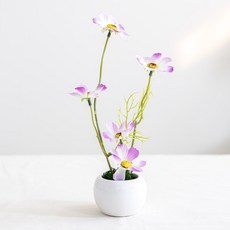 플라워트리 조화 클래식 데스크테리어 코스모스화분 23cm, 퍼플, 1개