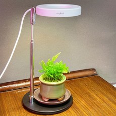 anplant 促進生長 LED 植物燈 3種模式定時器, 白色