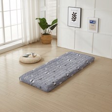 SKYSHOP 프리미엄 매트리스, 그레이, 10cm