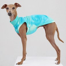 DOGGY STAR 狗狗夏季水染涼感背心, 1個, 薄荷水染