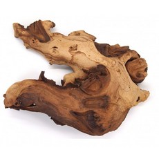 HT NATURAL 優質莫帕尼雙色沉木, 1個