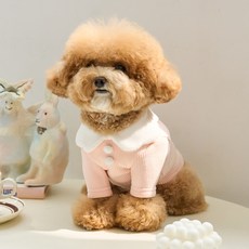 BENNYS 狗狗牛奶泡泡短版T恤, 1個, 粉紅色