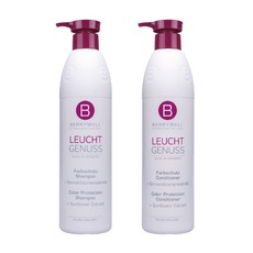 BERRYWELL 護色洗髮乳 1001ml+潤髮乳 1001ml, 1組