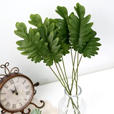 Garden in the City 塞勒姆茄子, 單一顏色, 4個