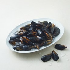 아라보감 마산 생물 홍합 (냉장), 1개, 3kg