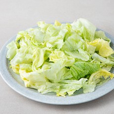 절단 양상추, 1000g, 1개