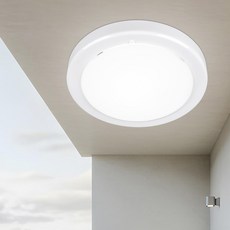 원하 EL 유백 원형 직부등 플리커프리 LED 15W, 화이트 + 주광색, 1개