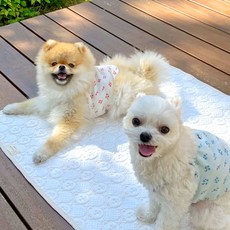 Grooming Dog 寵物 Duraron 涼感墊, 微笑熊, 1個