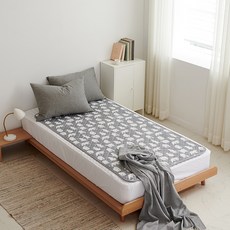 crivel 超細纖維碳素熱線高級電熱毯 YH-402, 冬季熊, 超級單人(100 x 180 cm)