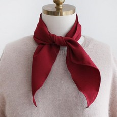 VARVISU 基本款絲巾