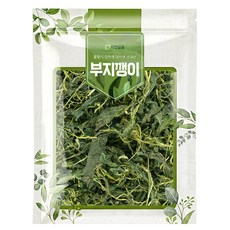 자연닮음 국내산 부지깽이 나물, 1개, 100g