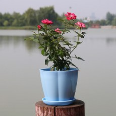 家用陽台室內裝飾托盤花盆, 04 藍色