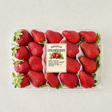 유러피안 딸기 대과, 1개, 500g