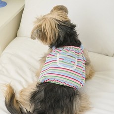 베니즈 강아지 페스타 벌룬 탑, 스카이 블루, 1개