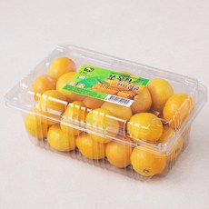 GAP 인증 올레길 쪼꼴락 당도선별 한입 감귤, 1.2kg, 1박스