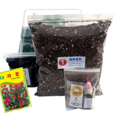 하늘e정원 누구나 쉽게 책상 위의 텃밭 과학 실험 과꽃 식물 기르기 키트 세트 100p