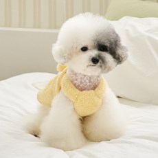 BENNYS 狗狗杯子蛋糕蝴蝶結連身裙, 黃色