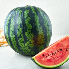 쥬스용 수박, 7kg 이상, 1개