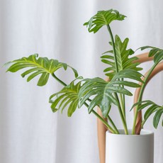 Artifarty Celeb Bundle Bush絲綢花人造花室內裝飾, 單色, 1個