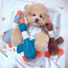 Petca MAAH 狗狗鴨子啾啾拉扯遊戲玩具 3件組, 1套, 灰色 + 綠色 + 棕色