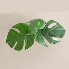 熱帶葉窗簾夾 25cm, 龜背芋, 1個