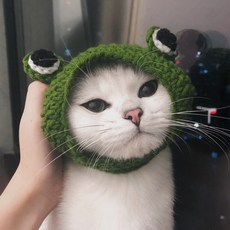 Redpuppy 寵物青蛙造型頭套, 綠色