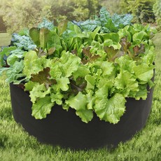 도매토피아 초록가든 베란다 텃밭 부직포 화분, 1개