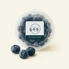 올푸릇 유기농 인증 블루베리 대, 1개, 100g