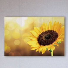 GGOOMIM 幸運的象徵 向日葵壓克力畫框 cr019, 1.向日葵, 1個