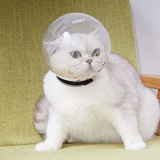 貓咪防咬頭套 CT-190, 透明, 1個