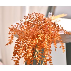 GAPANG 乾花 DRYE129, 橙色數字 01