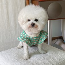 BYDAMSOOMI Puppy Veneta 絎縫荷葉邊背心, 綠色