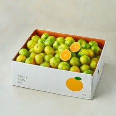 깨비농원 감귤, 1개, 10kg(로얄과)