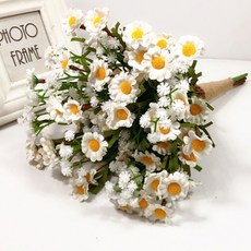 Minsung Company雛菊花束花束, 基數