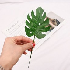 Store91尤加利葉拍攝道具 T, 混合顏色, 1個