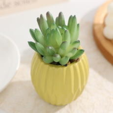 소울리치 예쁜 다육식물 조화, 화분타입5 리틀 부처 핑거, 1개