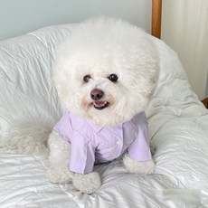 bydamsoomi 狗狗糖果棉質襯衫, 紫色