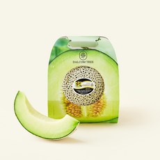 달콤트리 고당도 청양 멜로츠 멜론, 2kg, 1개