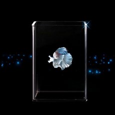 壓克力豪華魚缸 5T, 混色