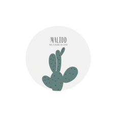 創意珪藻土吸水杯墊, 綠色, 1個