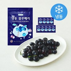 웰프레쉬 미국산 블루베리 (냉동), 10개, 1kg