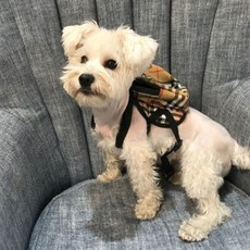 JCP動物迷你格紋後背包, 混色, 1個