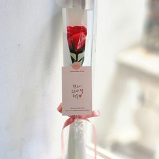 아스파시아 장미 메시지 비누꽃 한송이 꽃다발 반드시오고야말행복, 레드, 2개 레드, 2개